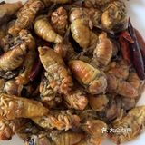 美食  |  见过的、吃过的～请举手🙋🏻‍♂️🙋🏻‍♂️🙋🏻‍♂️