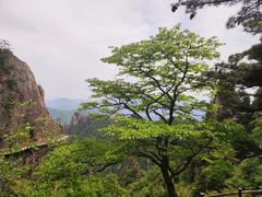 -老君山风景名胜区