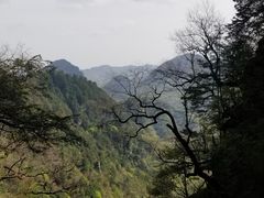 -天燕原始生态旅游区-天门垭景区