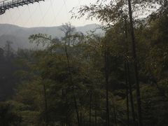 -山沟沟景区