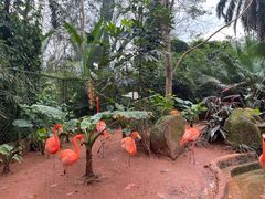 -海南热带野生动植物园
