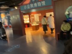 -海合安武汉极地海洋公园