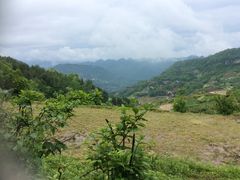 -鹿院坪生态旅游景区