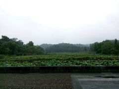 -清漾毛氏文化村