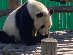 -西霞口神雕山野生动物世界