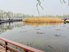 -绿堤公园