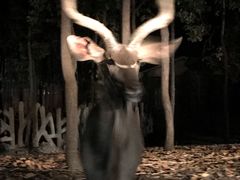 -清迈夜间动物园