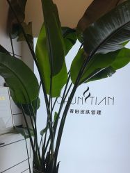 -春田皮肤管理中心品牌旗舰店