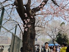 -吉林大学(南岭校区)