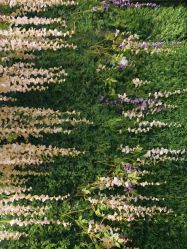 -盘子女人坊古装写真摄影(天津总店)