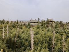 -洛阳白马寺