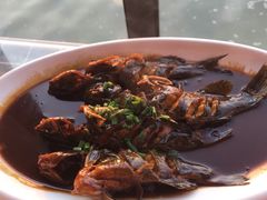 红烧激浪鱼-古尚锦酒楼·水上餐厅