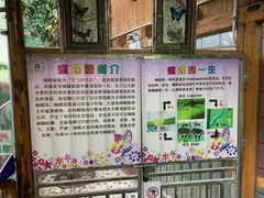 -上海大自然野生昆虫馆(东方明珠·爬宠昆虫探索中心)