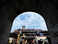 -上海东林寺(金山区)
