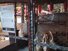 -鱼窝棚柴火铁锅炖(富山屯店)