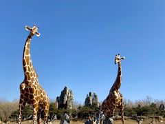 -北京野生动物园