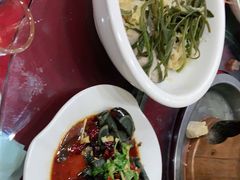 -山海关浑锅(秦皇岛首店)