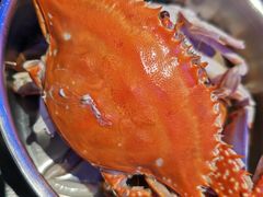 -半岛听涛蒸汽海鲜自助(K11店)