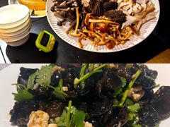 -洞庭家宴·头牌甲鱼(广渠门店)