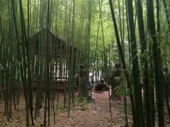 -竹泉村旅游度假区