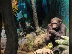 -国家自然博物馆