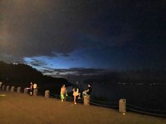 -欢乐海岸椰林沙滩-2025湾区超级灯会