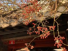 -VOYAGE COFFEE(北锣鼓巷店)