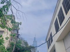 -紫峰大厦