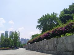 -龙头寺公园