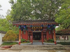 -百脉泉景区