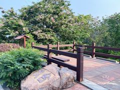 -清溪森林公园