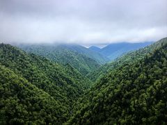 -凤凰山国家森林公园