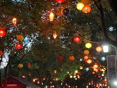 -君澜·绍兴鉴湖大酒店