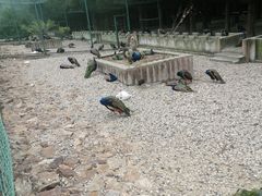 -南京金牛湖风景区