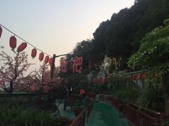 -枇杷园食为鲜火锅(南山店)