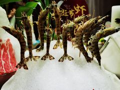 -尚海豆捞(乐虹坊店)