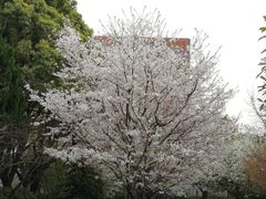 -上海应用技术大学南校区-停车场