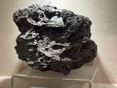 -安徽省地质博物馆