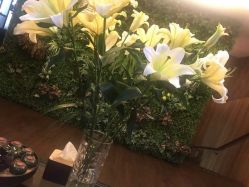 -京世沙龙