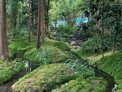 -成都市活水公园