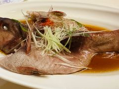 美极东星斑-马勒别墅·中餐厅