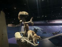 -武汉园博园(武汉自然博物馆)