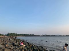 -宝安西湾红树林湿地公园