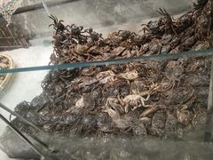 -悦橙烤肉海鲜自助(中央大街店)