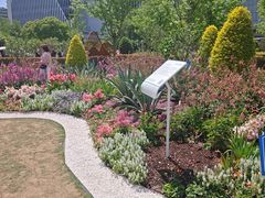 -东方体育中心(地铁站)