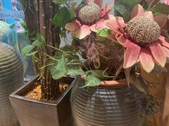 -茶颜悦色(银盆岭万达广场店)