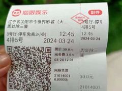 -今世界影城(沈阳大东城店)