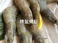 -道乐烧肉酒馆