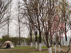 -永定河休闲森林公园