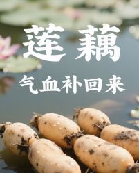 -雅曼妮spa美容养生